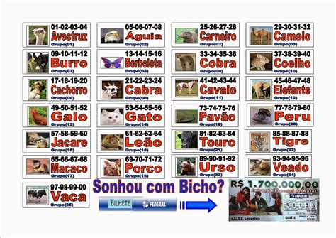 avestruz jogo do bicho - puxada do bicho 2024